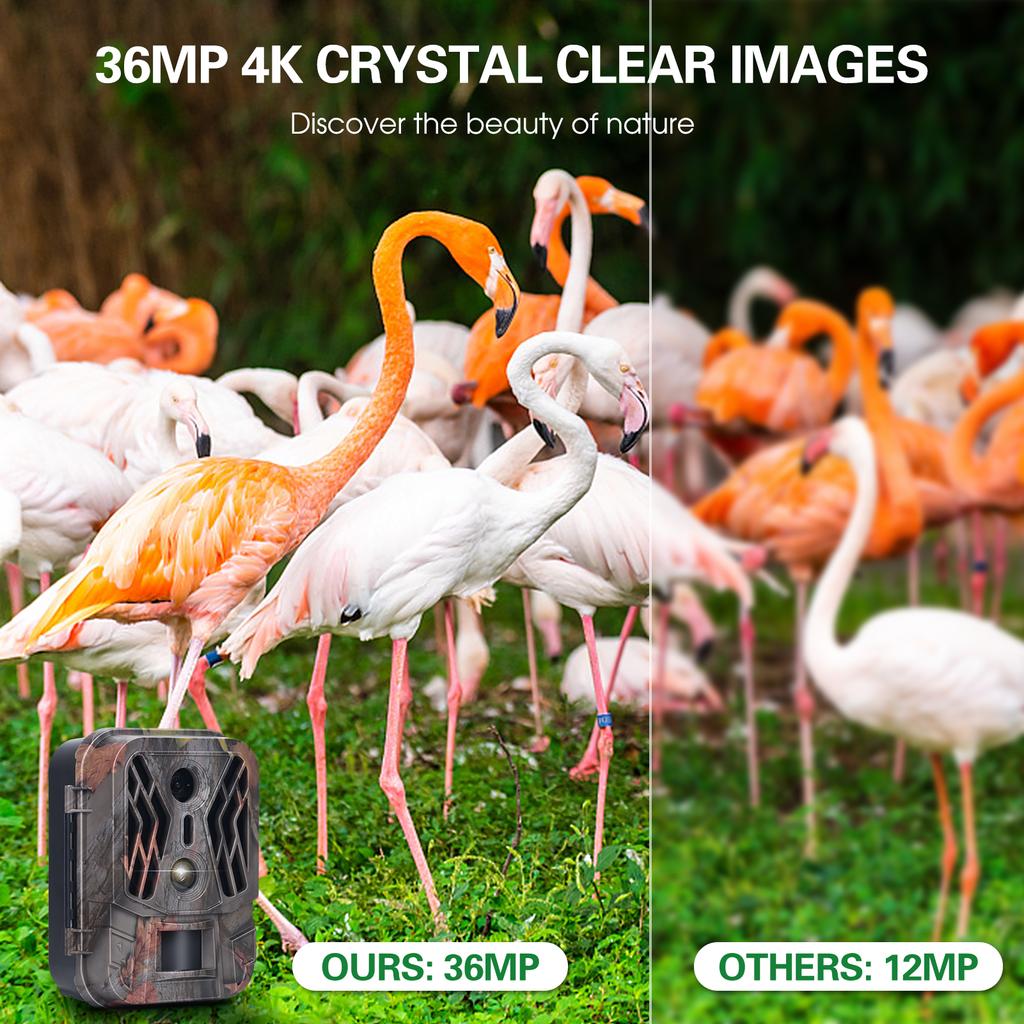Dual Lens Trail Camera 36MP 4K Motion Activated Wildlife Hunting Camera No Glow Night Vision