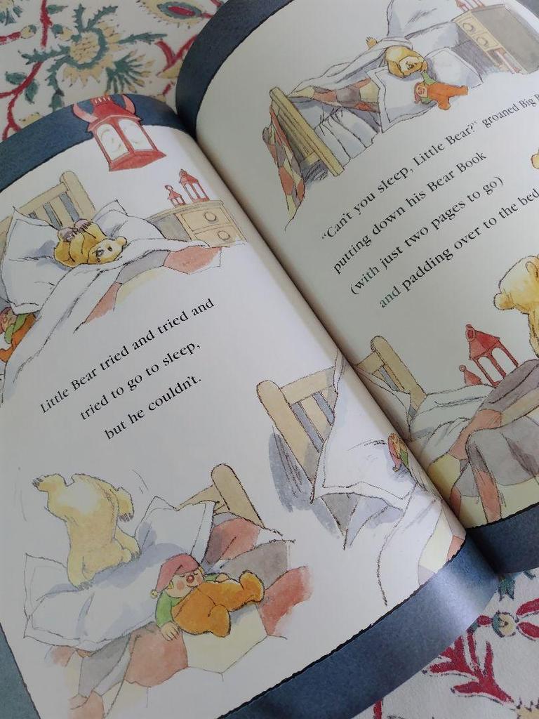 [USED] Can't You Sleep, Little Bear? Foreign books