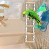 Bird Cage Perch Wooden Pet Swing Stand Parrot Hanging for Small Birds