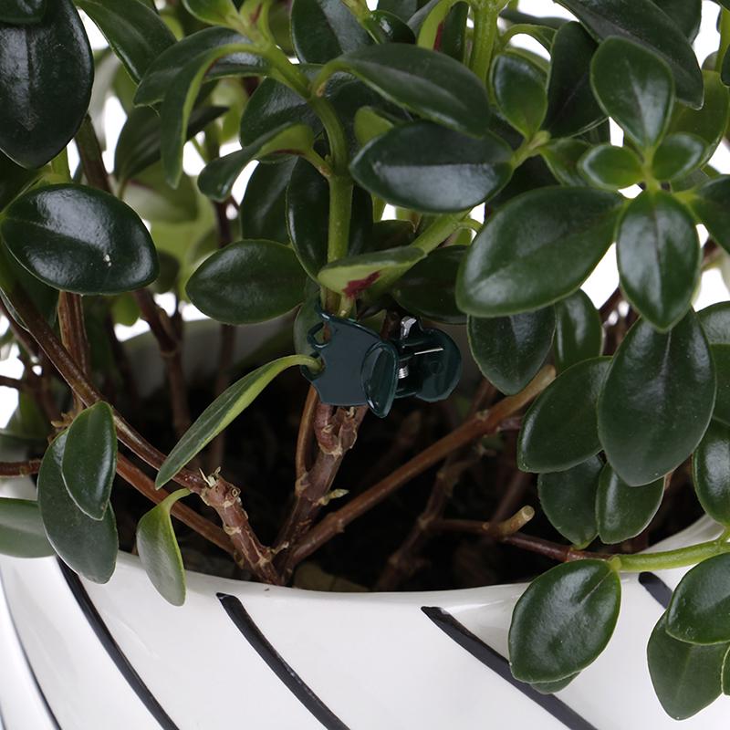 100 шт./пакет зажимы для поддержки садовых растений зажимы для стеблей орхидей для поддержки виноградной лозы