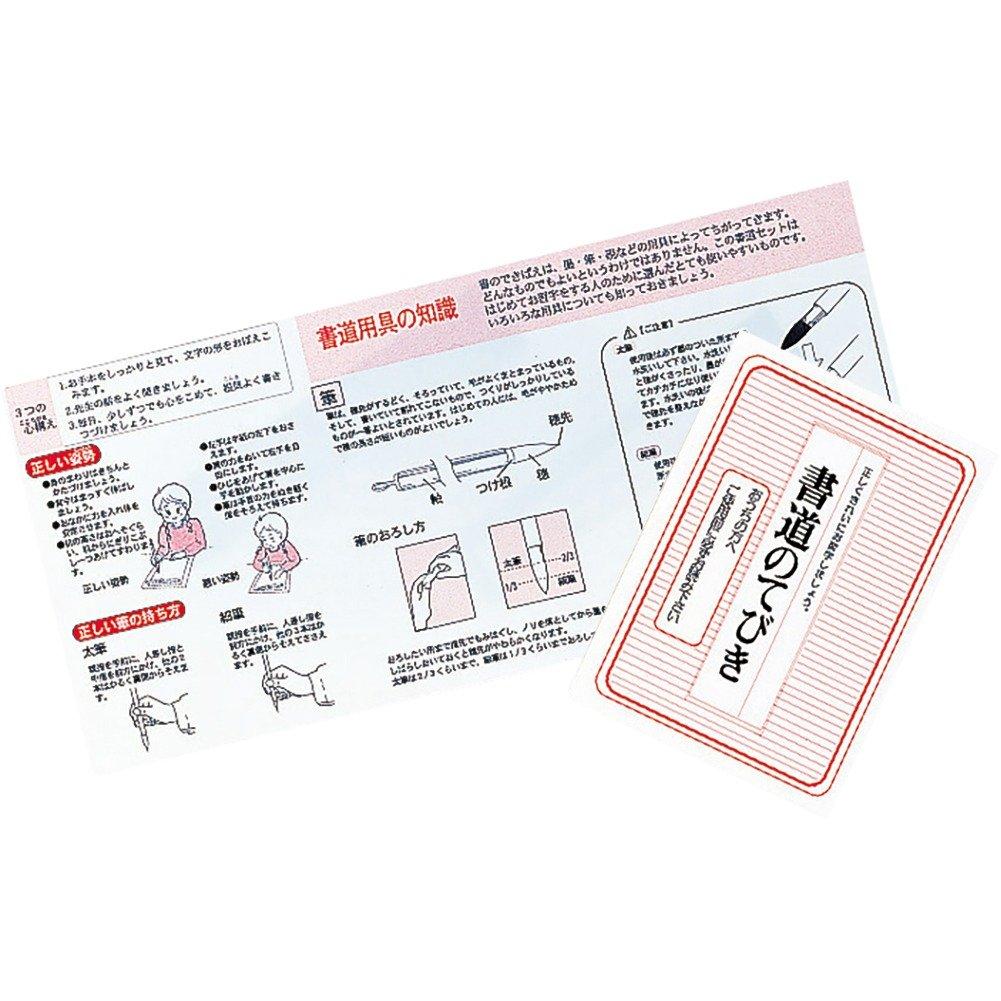 Набор для каллиграфии Kuretake, твердый шрифт, черный GC-3100S GC310-12