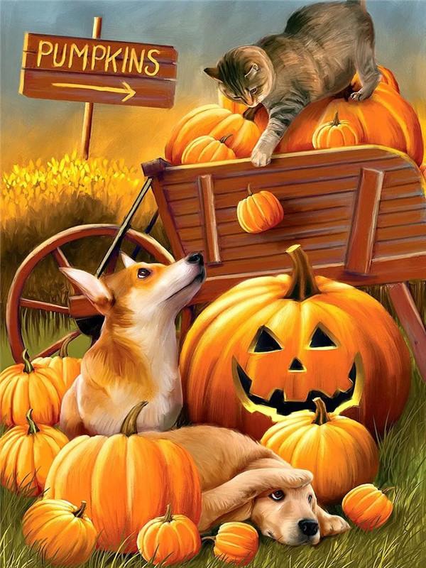 Полный дрель алмазная живопись собака горный хрусталь комплект Алмазная вышивка животных вышивка крестиком мозаика тыква осеннее украшение