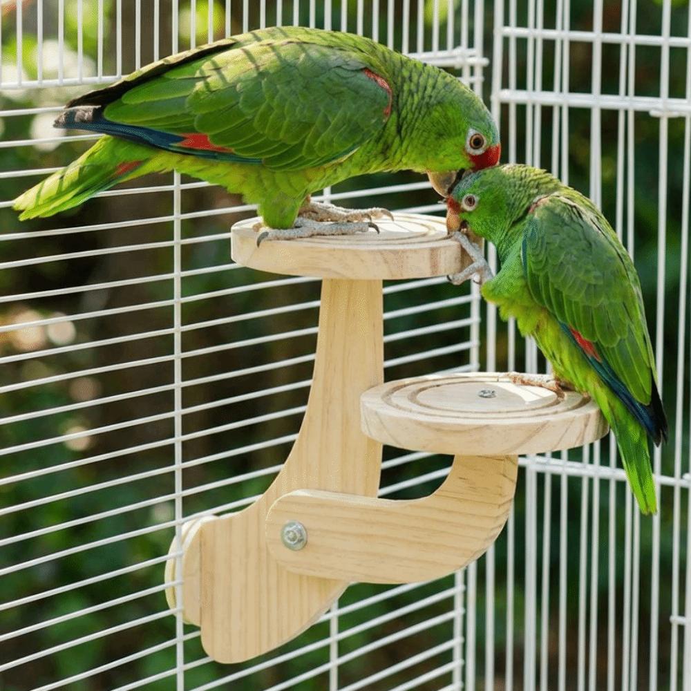 Wear Resistant Parrot Play Rack Parrots Ladder Parrot Perch Platform Beak Grinding Toy Bird Cage