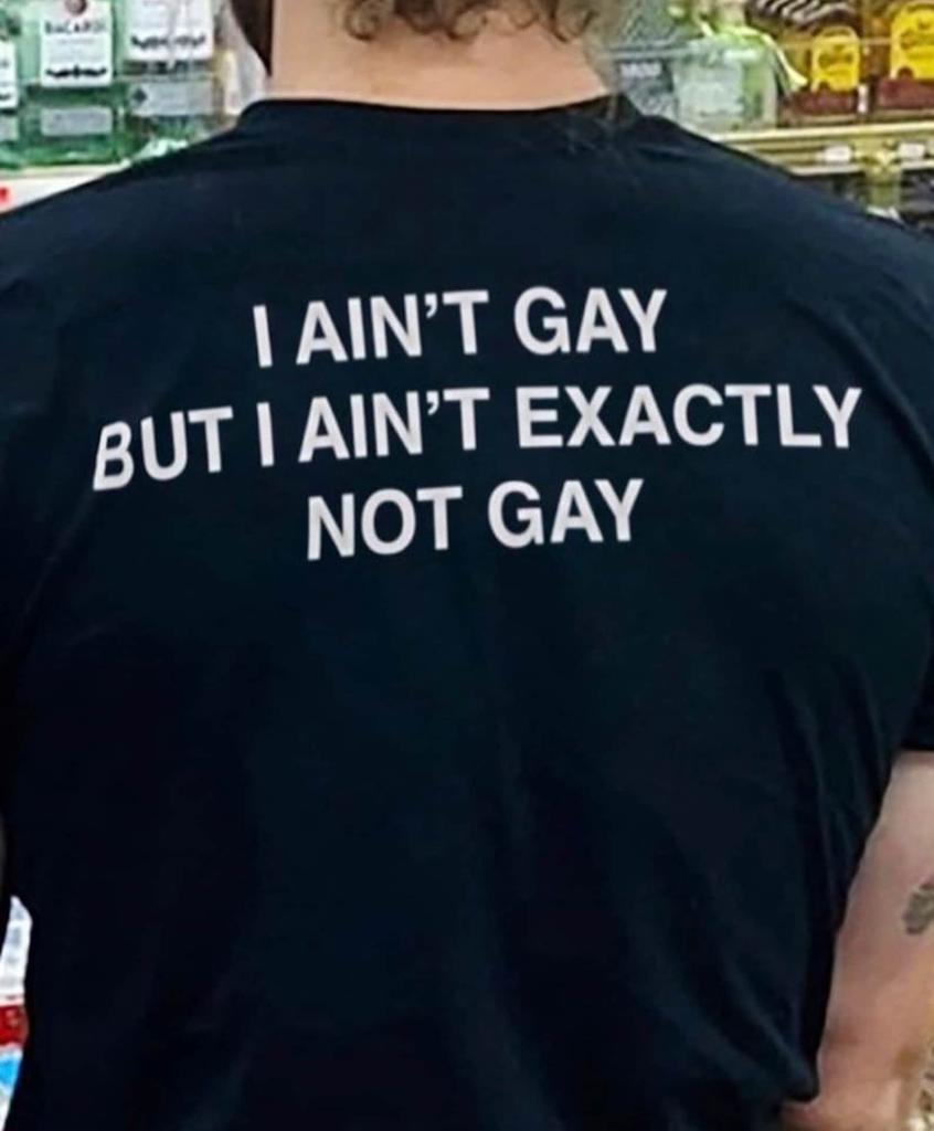 I Ain't Gay But I Ain't Exactly Not Gay Trendy Y2k Tshirt Cursed t-shirt Y2k Inspired shirt Y2K Slogan Shirt Y2k Party shirt Funny Y2K Shirt