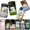Phone Cover Bichon Frise Dog Cute Pet Casing for OPPO A54 A40 A60 A80 A18 A16 A17 A38 A78 A79 A57 A55 A96 A15 A12 Case