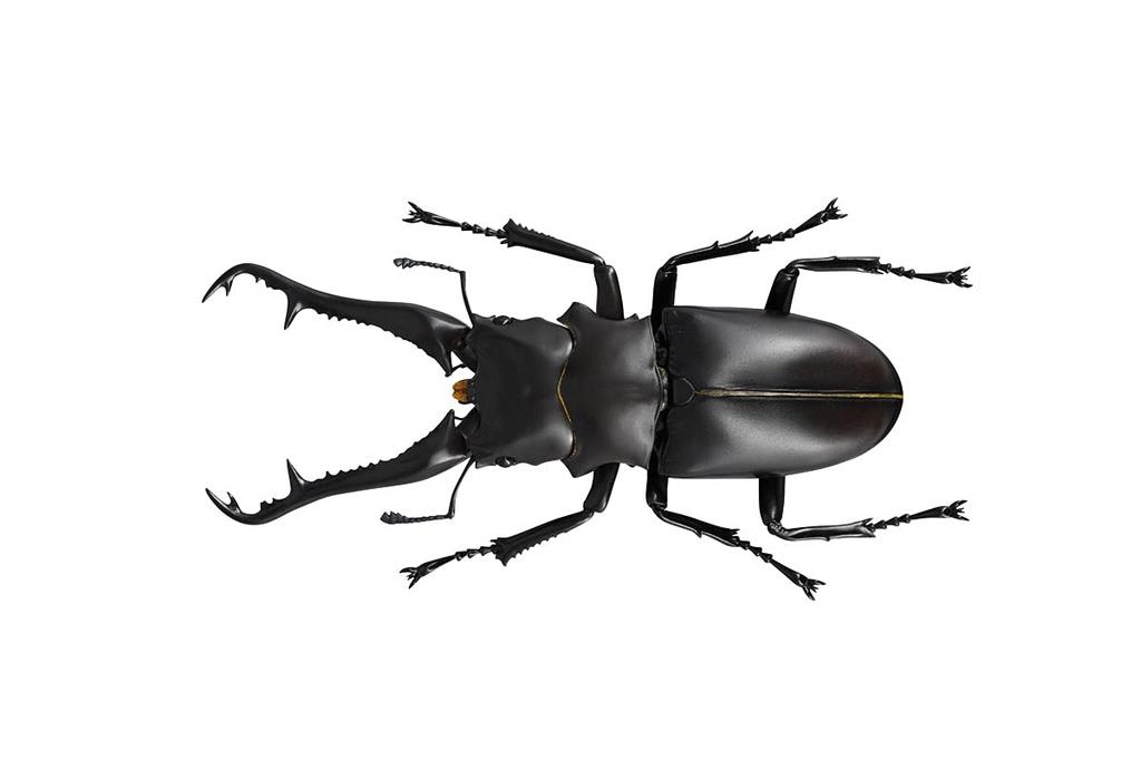 Kaiyodo REVO GEO Жук-олень-пилозуб Жираф Общая длина 210 мм ПВХ АБС окрашенная подвижная фигурка RG007 (Прозопокойлюс жирафа) &