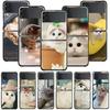 Cute Cat Kitten Phone Protective Case For Samsung Galaxy Z Flip3 5g Back Cases For Samsung Z Flip Capa Black Shell Fundas