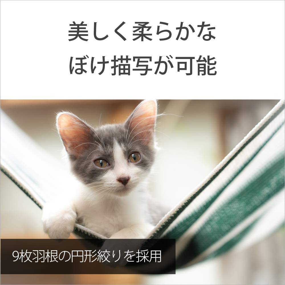 Sony Стандартный зум-объектив полного размера FE F4 G OSS G для цифровой однообъективной камеры, оригинальный объектив SEL24105G 24-105 мм [крепление E]