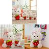 Bunny Strawberry Adorable Plush Toy Cute Ornaments And Pillow Gift For Girls