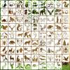 80 шт./набор, шаблоны для рисования животных, бухгалтерские инструменты, художественные и красивые языковые темы, многоразовые, украшения для вечеринок, шаблоны для рисования своими руками