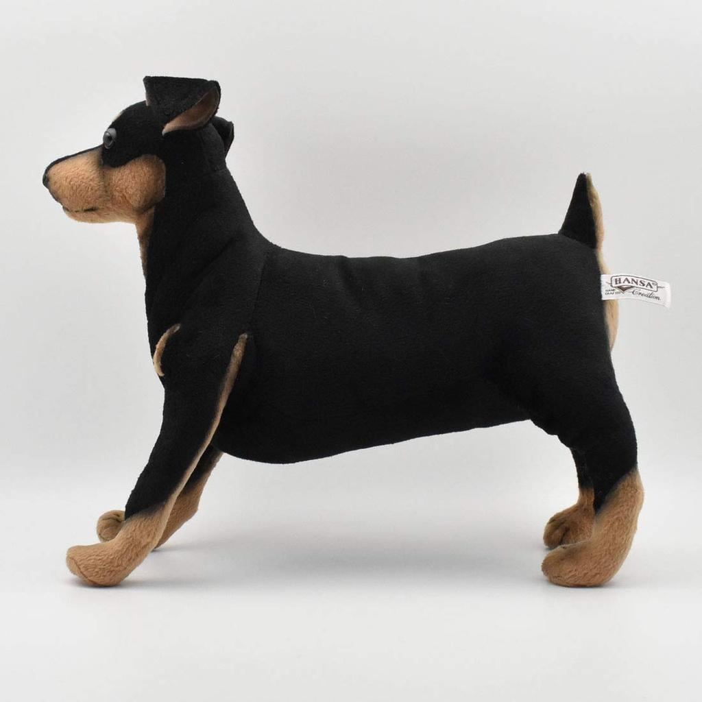 BH3877 HANSA Pinscher 43