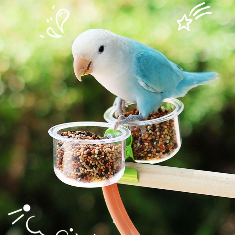 Bird Perch Stand Transparent Bird Cage Feeder With Clip Non-slip Parrot Food Bowl Plastic Wear-resistant Feeder Cup Parrot