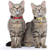 Pet Ribbon Fruit Cat Collar With Fruit Accessories Bell Pet Collar