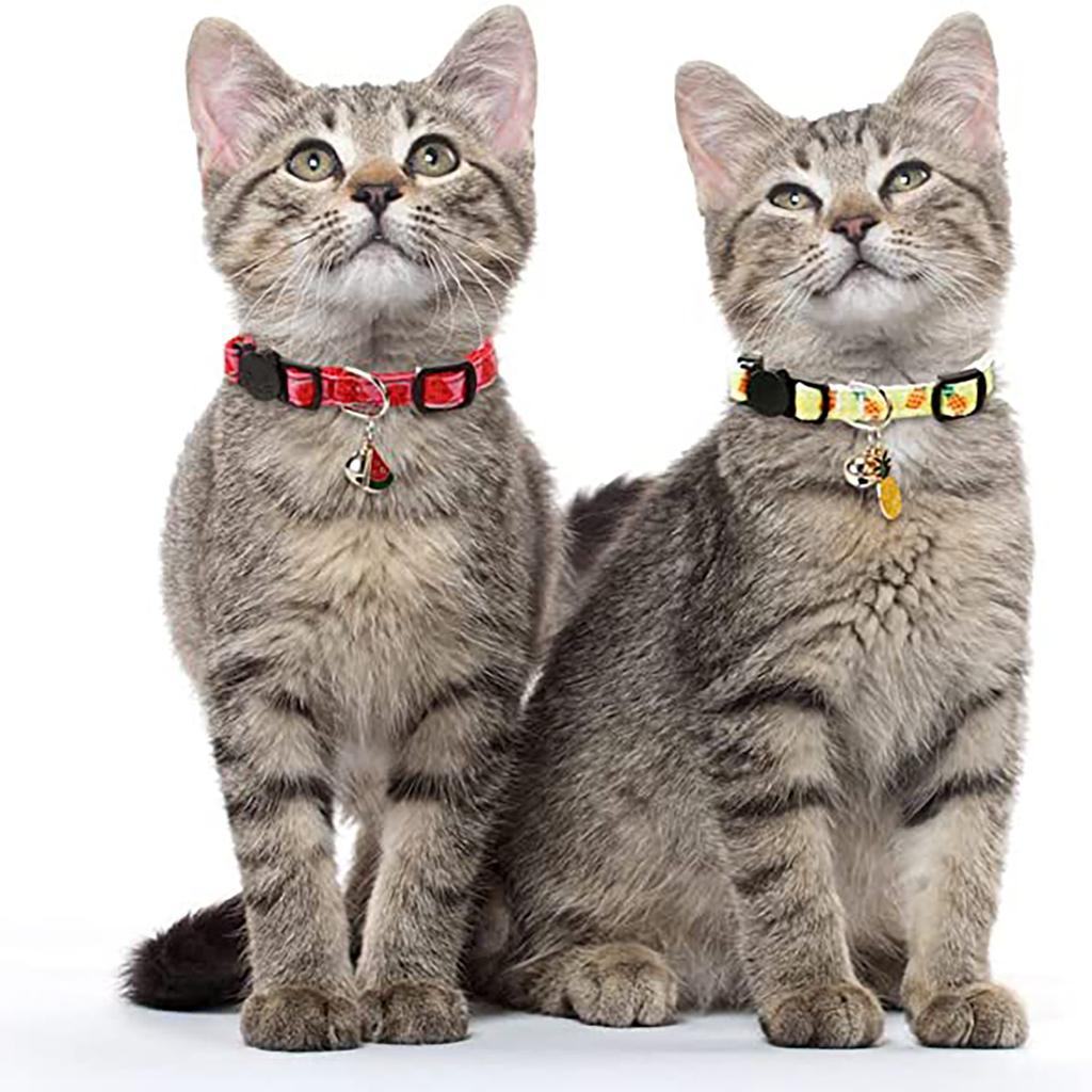 Pet Ribbon Fruit Cat Collar With Fruit Accessories Bell Pet Collar