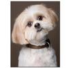 Полный круглый/квадратный 5D Diy алмазная живопись собака вышивка полный набор крестиков домашний декор подарок ручной работы