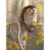 5D Алмазная картина Полный круглый Сова Вышивка Алмазная мозаика Вышивка крестом
