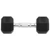 VidaXL Dumbbells 2 Pcs 10 Kg Total Cast Iron, Dumbbell Set, Hex Dumbbell, Weight Plate, Weight Bar 93601