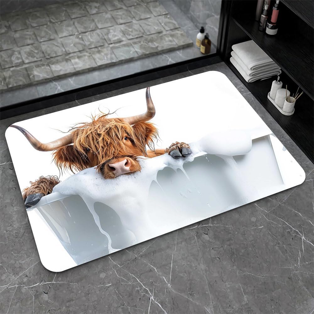 Dreamy Animal Black Cat Peacock Mermaid PatternCarpet Bathroom Kitchen Living Room Door Mat Indoor FloorDecoration Art Print Mat