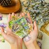 56PCS Kawaii Flower House PET Sticker Aesthetic Decoration Scrapbooking Stationery DIY Hand Accounting Supplies for Kids