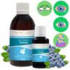 Blueberry Extract Tincture Herbal Liquid Supplement Dietary New Life