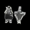 Educational Dog Tooth Model Dog Cat Rabbit Cat Clear Typodont Dental Teaching Canine  Clinic