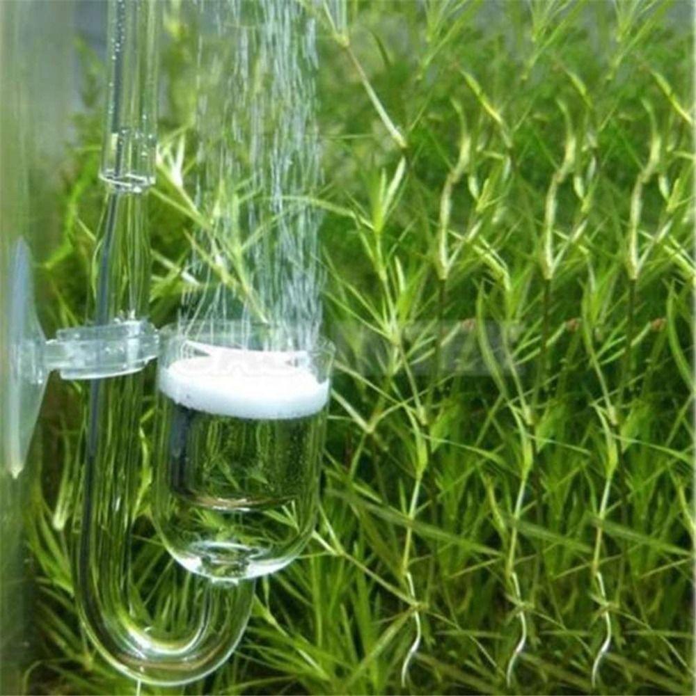 Transparent Glass CO2 Diffuser Refinement Suction Cup Glass Tube Aquarium Plant Supply