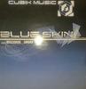12-дюймовая пластинка BLUE SKIN - Discoroo / Smurf CUBIK004 Cubik Music Pro 2003 UK Dance & Electronica Б/У