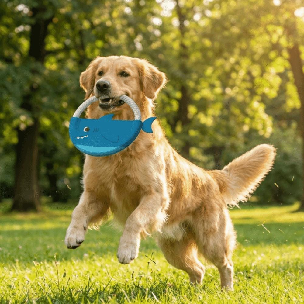 Bite-Resistant Interactive Dog Toy Durable Puppy Chew Toy Pet Teeth Cleaning Toy Outdoor Game