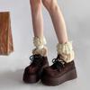 Модные шнурованные массивные зимние ботинки для женщин, зимние ботильоны с круглым носком, увеличивающие рост, плюшевая женская обувь, новая рок-мода 2025, готические ботинки