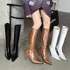 2025 Autumn Pointed Thin Heels But Knee Boots Women's European and American Style Black Rear Zipper High Boots High Heel Boots