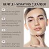 Moisturizing Gentle Cleanser Moisturizing Cleanser A Daily Cleanser For Dry To Normal Skin,100ML