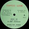 10-дюймовая пластинка R ZEE JACKSON / MATIC HORNS - Seat Up; Кипящая заварка / Корни EB10 Коптский лев 2008 Великобритания Регги, Ска и Даб