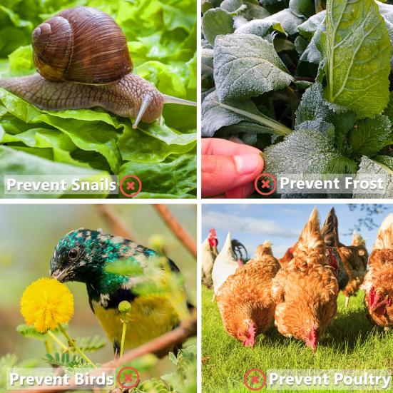 12 шт., чехол для растений, морозостойкий, защита от солнца, минимальное отражение, передача света, антифриз, защита от птиц, теплица, защита для растений, аксессуар для двора