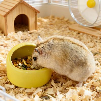 Миска для мелких животных Миска для корма и воды для хомяка Миска для кормления питомца Неопрокидывающаяся кормушка для морских свинок, кроликов, ежей, попугаев