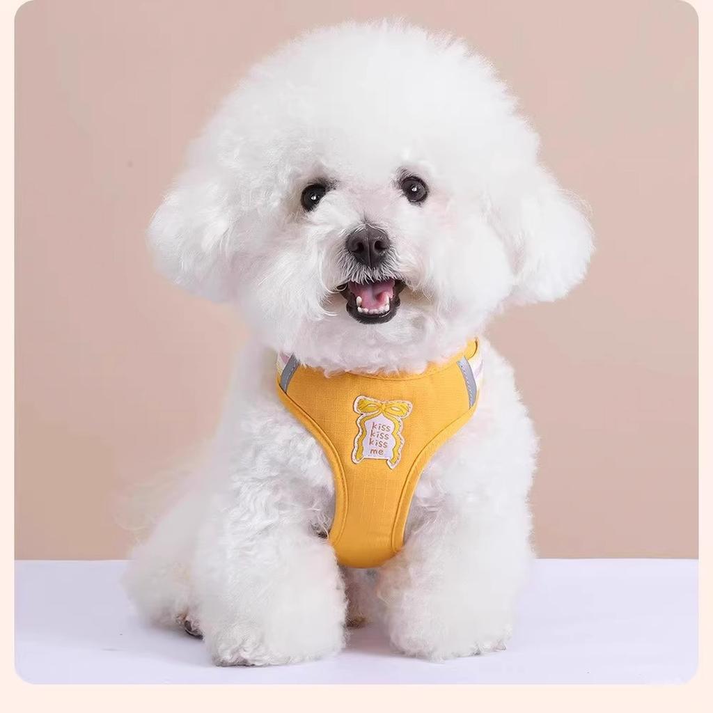 Бантик Поводок для собаки Летний Прохладный Собачий Нагрудный рюкзак Уличная Милая Веревка для выгула собаки Нагрудный рюкзак(Синий-XL)