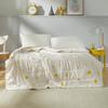 LUOLAI Anti-Bacterial Silk Summer Quilt