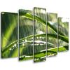 Five Piece Picture Canvas Print Green Leaves