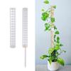 Plant Climbing Column Sphagnum Moss Pole Plants Growing Support Stand Water-Retaining Fertilizer-Rich Plant Extension Pole Stick