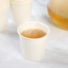 Disposable White Tasting Cups