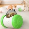 Brain Game Dog Interactive Treat Toy Food Maze Feeder Cat Slow Feeder Toys  Cats
