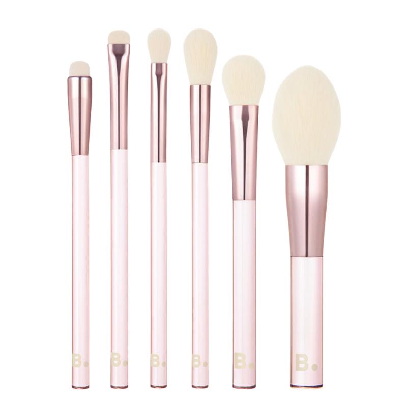 Brush Full Set (6 pcs)
