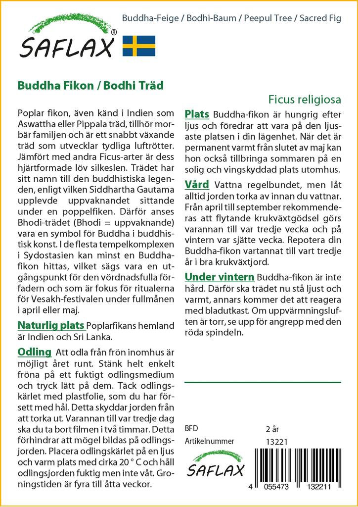 SAFLAX Peepul Tree / Sacred Fig - 100 семян - Ficus religiosa