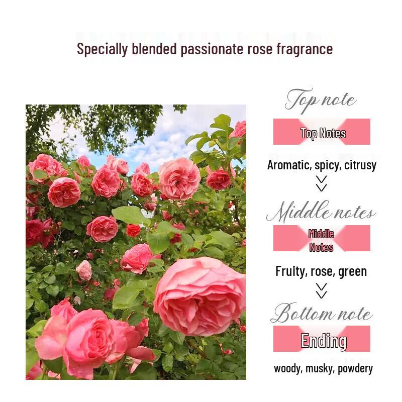 Miss Li Rose Fragrance Moisturizing Body Lotion