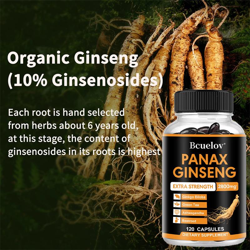Panax Ginseng 2800mg Extra Strength Capsules, Herbal Supplement Blend with Ginkgo Biloba, Ashwagandha, Green Tea & Beetroot, Energy & Focus Support