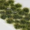 10mm Grass Model Grass for Dioramas, Scenery Collection, Building Models, Decorations, Landscapes, Miniature Gardens, Railway Models, Dioramas