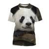Футболка с милой пандой Kawaii Animals 3D Print Мужские и женские футболки с коротким рукавом Модная уличная одежда Harajuku Детские топы Футболки Одежда