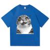 2026 Summer Unisexs Fun Cat Letter Printed Round Neck Short Sleeve Neutral 100 Cotton Soft Breathable Daily Tshirt Large
