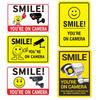 1pcs Warning Metal Sign “Smile You’re On Camera” Tin Sign, Aluminum Sign, Easy To Install,Waterpoof,More Picture for Choose