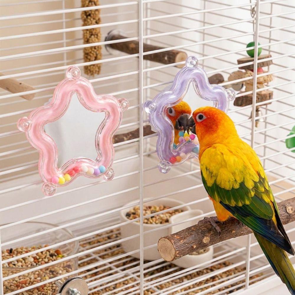 Colorful Beads Star Rotating Parrot Mirror Toy Mirror Parrot Interactive Toy Bird Supplies