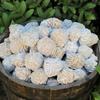 Natural Ore Desert Rose Crystal Raw Rose Stone Ornament Indoor Decorations Home Ornaments